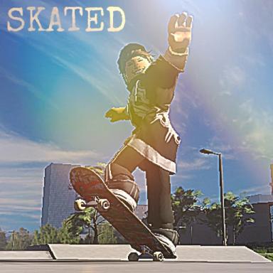 Thumbnail for Skated Game
