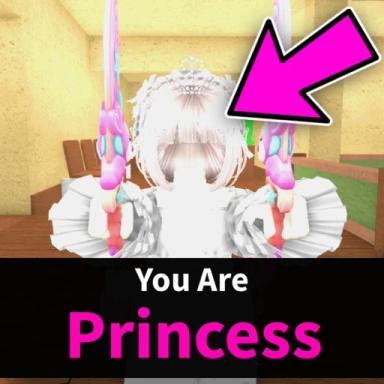 👸 PRINCESS icon