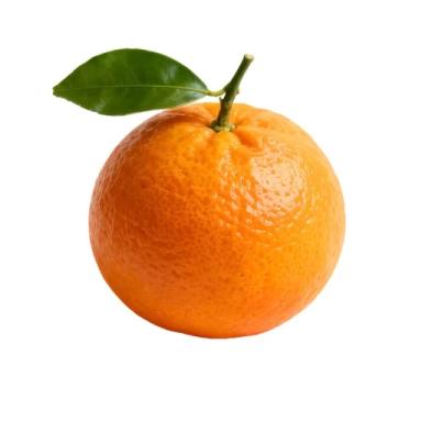 Thumbnail for [🍊] Orange Game