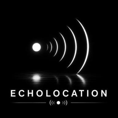 Thumbnail for (BACK!!!) ECHOLOCATION (IN DEVELOPMENT) Game