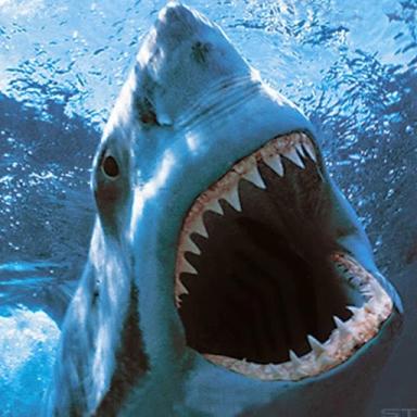 The Megaladon 🦈 icon