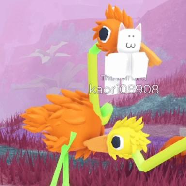 Thumbnail for BIRD Game