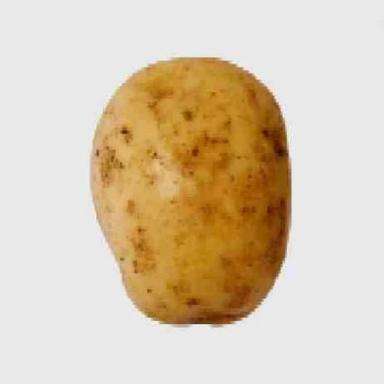 potato icon