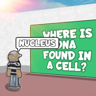 Thumbnail for [🧪] GCSE Science Revision Quiz Game
