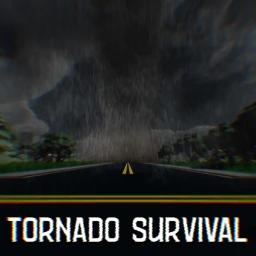 Tornado Survival 🌪 icon