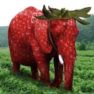 Jump Into Strawberry Elephant icon