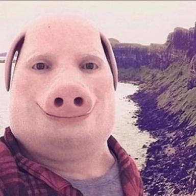 John Pork City  icon