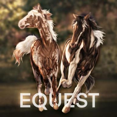 Thumbnail for LCS: EQuest Game