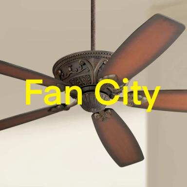 Fan City icon