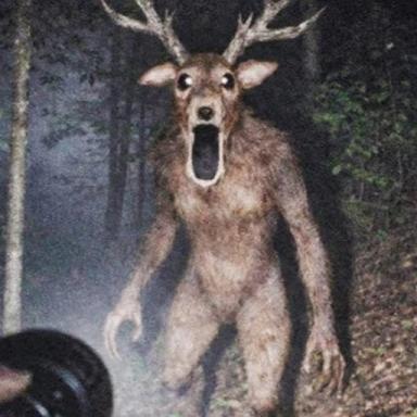 Thumbnail for Enter 99 Nights Deer Game