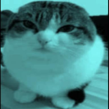Temple Of Wawa Cat icon