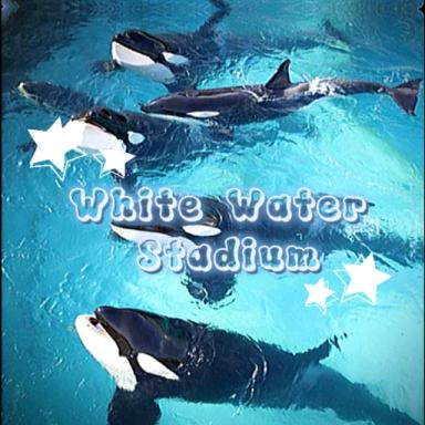 WhiteWaterStadium icon