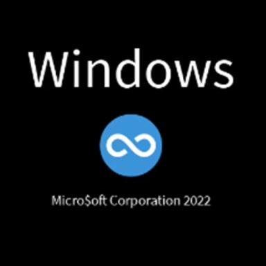 Windows Infinity icon