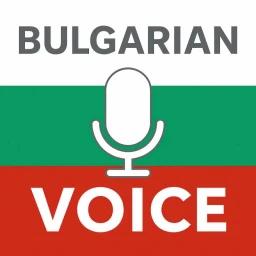 Bulgarian Voice Chat Hub icon