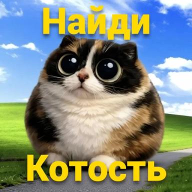 Thumbnail for Find the Kotost Game