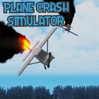 Thumbnail for Plane crash physics Game
