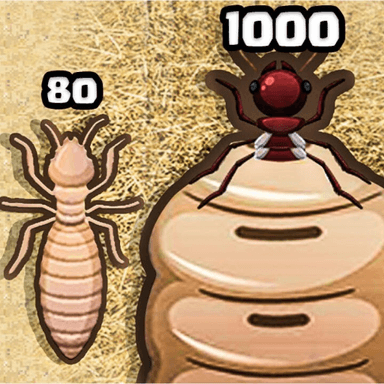 Dung Beetle Simulator icon