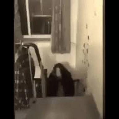 Ayuwoki bailando  icon