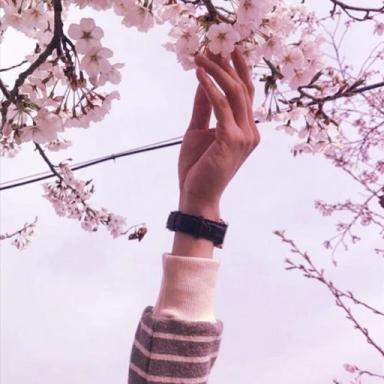 🌸 icon