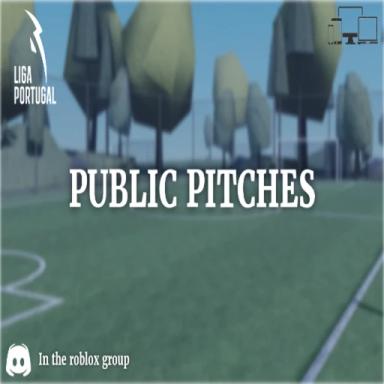 PVL Public Pitches icon