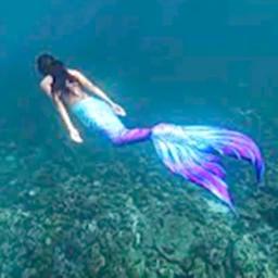 🌊MERMAID WORLD! icon