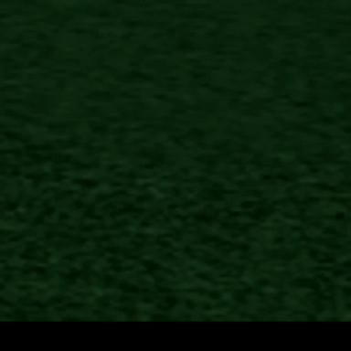 grass icon