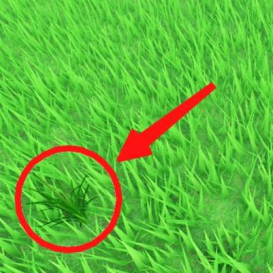 Thumbnail for Be Grass Game