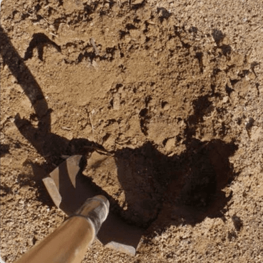 dig a hole to find fossils icon
