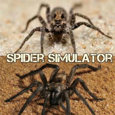 Spider Simulator! icon