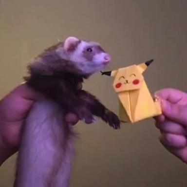 Ferret Wiggle Dance icon