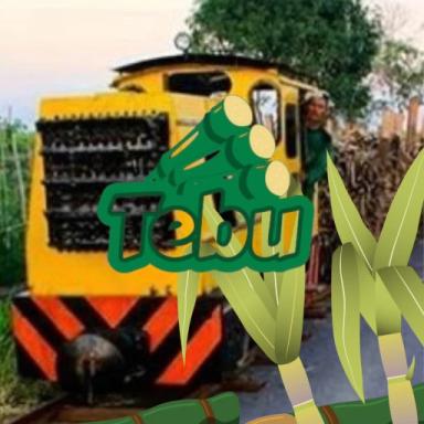 LORI NUSANTARA| UJI COBA PUBLIC | ALPHA 1.0 icon
