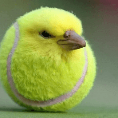 Cart Ride Into Tennis Bird icon