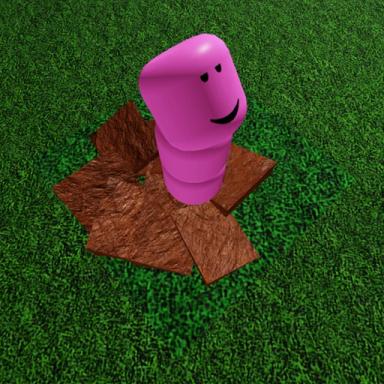WORM ISLAND icon