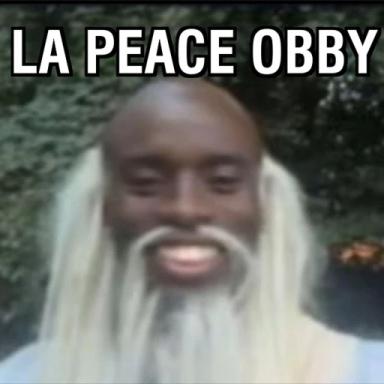 Thumbnail for [UPDATE] La Peace Obby Game