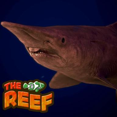 Thumbnail for 🐠🪸THE REEF🐬🪸 Game