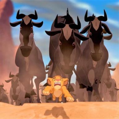 The Lion King🦁 Stampede Obby🐂🐂🐂 icon