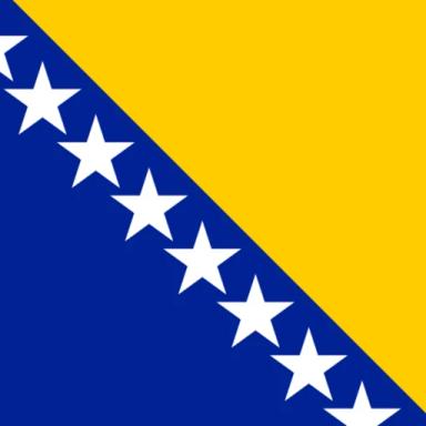 Bosna i Hercegovina (Bosnia and Herzegovina) icon