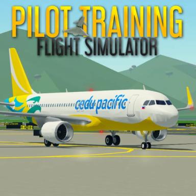 Thumbnail for Pilot Training Flight Simulator Game
