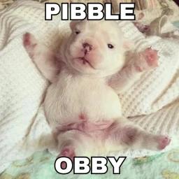 Thumbnail for pibble obby Game