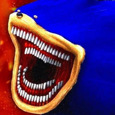 SHIN SONIC TAPES PVP Mode [UPDATE!] icon