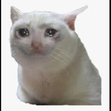 Thumbnail for Sad obby :( Game