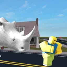 Rhino Chase icon