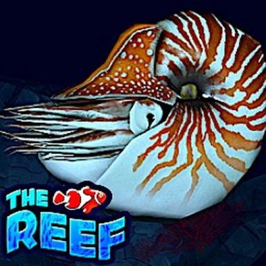 Thumbnail for 🦞 LOBSTER 🦞 |🐠🪸 THE REEF 🐬🪸  Game