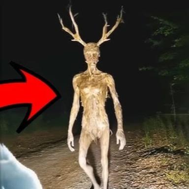 Thumbnail for Jump Into 99 Nights in the Forest Game