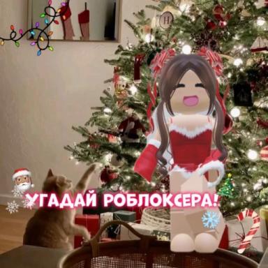 Угадай роблоксера! icon