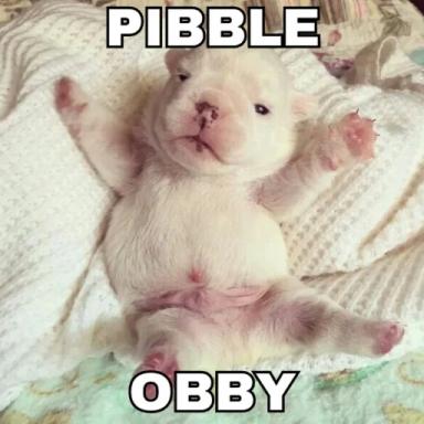 Thumbnail for pibble obby Game
