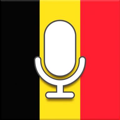 Thumbnail for [☀️] Belgium Voice Game