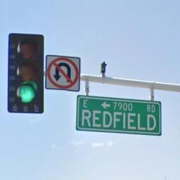 Thumbnail for Redfield Testing Game
