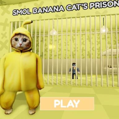 Thumbnail for SMOL BANANA CAT'S PRISON RUN! (Obby) Game