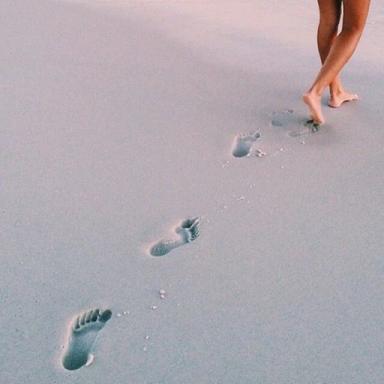 🐚  icon